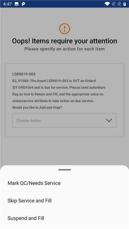 Choose option for service (auto return [and fill] will be implicitly sent to api).png